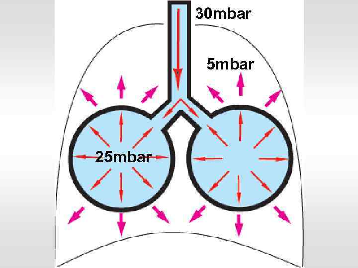 30 mbar 5 mbar 25 mbar 