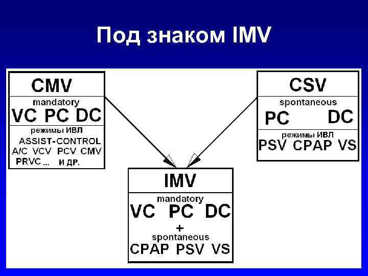 Под знаком IMV 