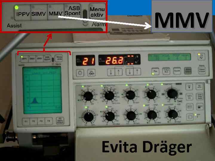 MMV Evita Dräger 