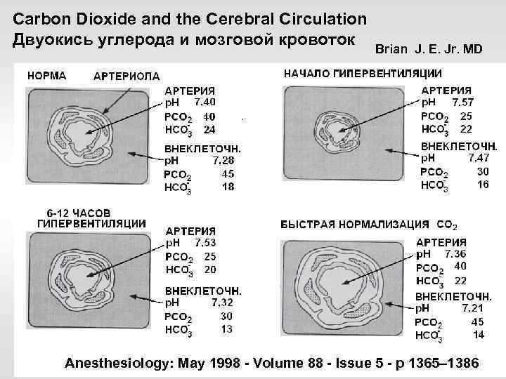 Carbon Dioxide and the Cerebral Circulation Двуокись углерода и мозговой кровоток Brian J. E.