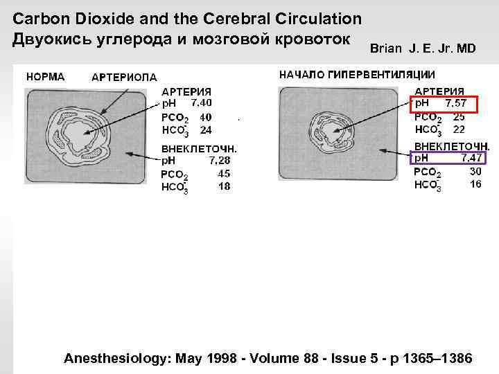 Carbon Dioxide and the Cerebral Circulation Двуокись углерода и мозговой кровоток Brian J. E.