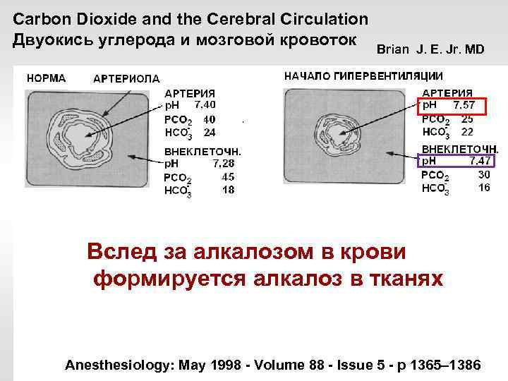 Carbon Dioxide and the Cerebral Circulation Двуокись углерода и мозговой кровоток Brian J. E.