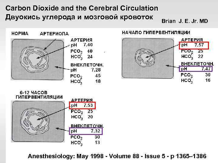 Carbon Dioxide and the Cerebral Circulation Двуокись углерода и мозговой кровоток Brian J. E.