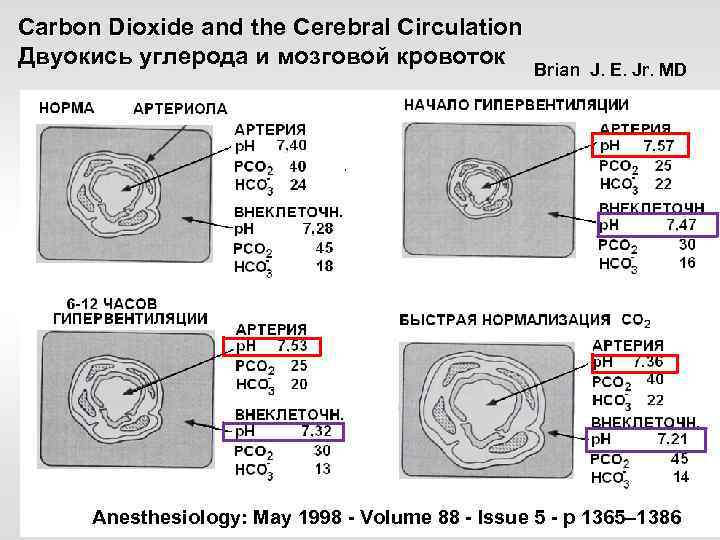 Carbon Dioxide and the Cerebral Circulation Двуокись углерода и мозговой кровоток Brian J. E.