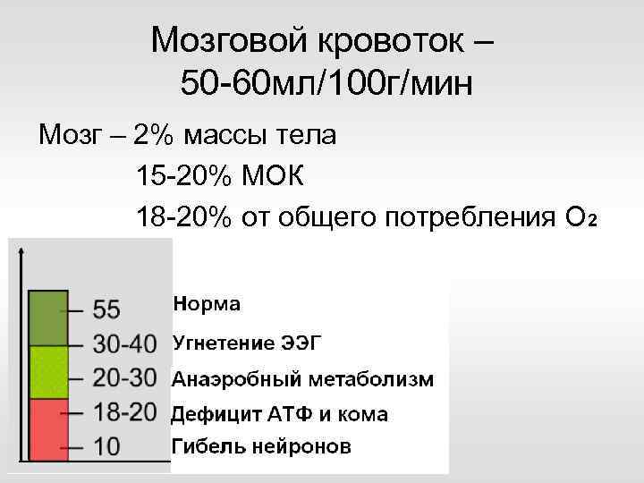 Мозговой кровоток – 50 -60 мл/100 г/мин Мозг – 2% массы тела 15 -20%