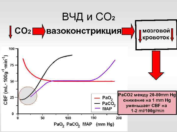 ВЧД и СО 2 вазоконстрикция мозговой кровоток Ра. CО 2 между 20 -80 mm