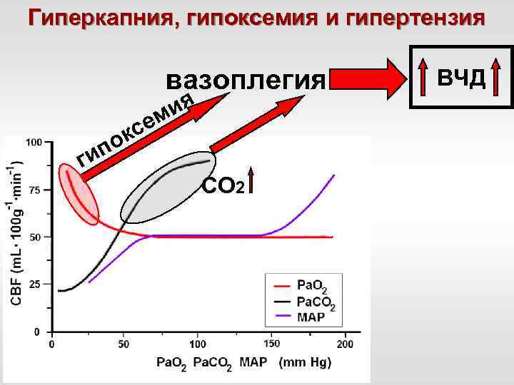 Гиперкапния, гипоксемия и гипертензия вазоплегия се к г по и ия м СО 2