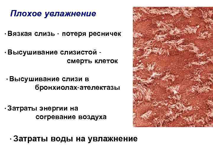 Плохое увлажнение • Вязкая слизь - потеря ресничек • Высушивание слизистой смерть клеток •