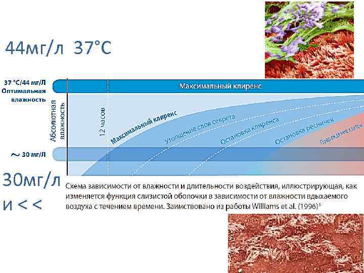 44 мг/л 37°С 30 мг/л и < < 