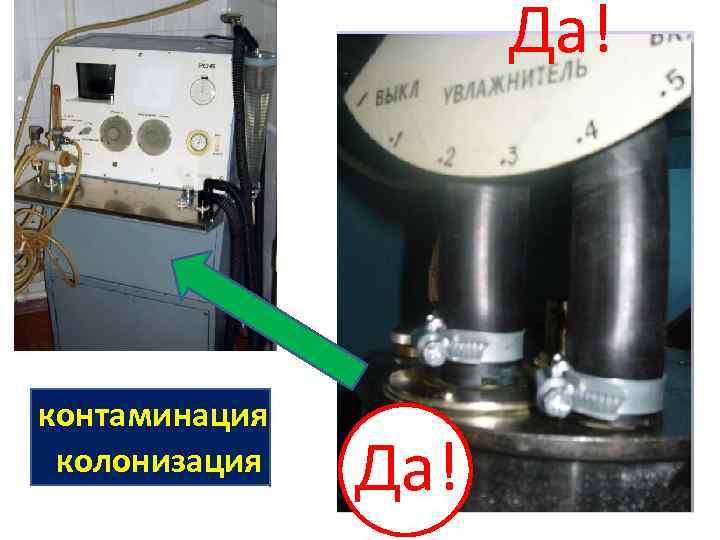 Да! контаминация колонизация Да! 