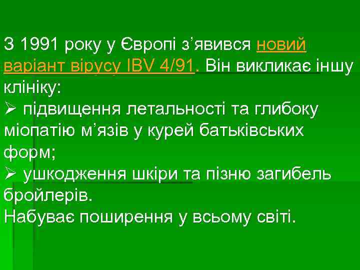 З 1991 року у Європі з’явився новий варіант вірусу IBV 4/91. Він викликає іншу