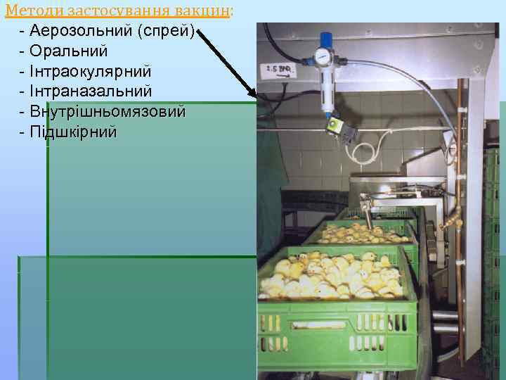 Методи застосування вакцин: - Аерозольний (спрей) - Оральний - Інтраокулярний - Інтраназальний - Внутрішньомязовий