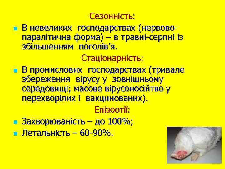 n n Сезонність: В невеликих господарствах (нервовопаралітична форма) – в травні-серпні із збільшенням поголів’я.