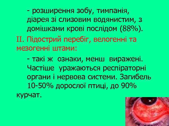 - розширення зобу, тимпанія, діарея зі слизовим водянистим, з домішками крові послідом (88%). II.