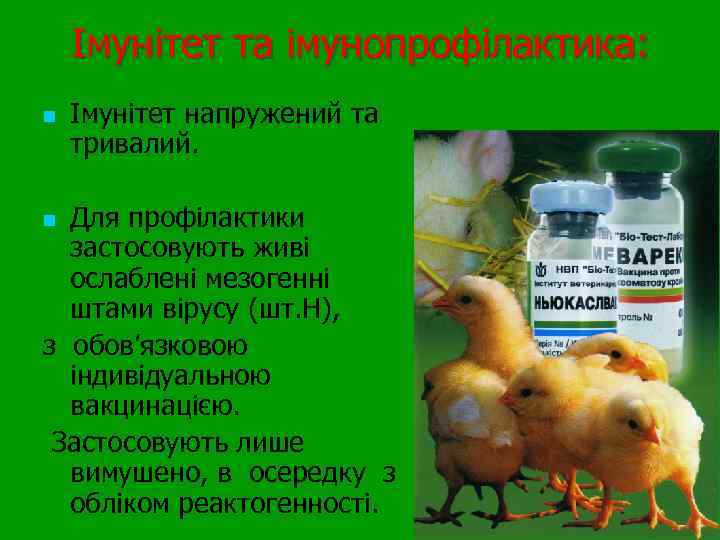 Імунітет та імунопрофілактика: n Імунітет напружений та тривалий. Для профілактики застосовують живі ослаблені мезогенні
