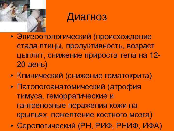 Диагноз • Эпизоотологический (происхождение стада птицы, продуктивность, возраст цыплят, снижение прироста тела на 1220