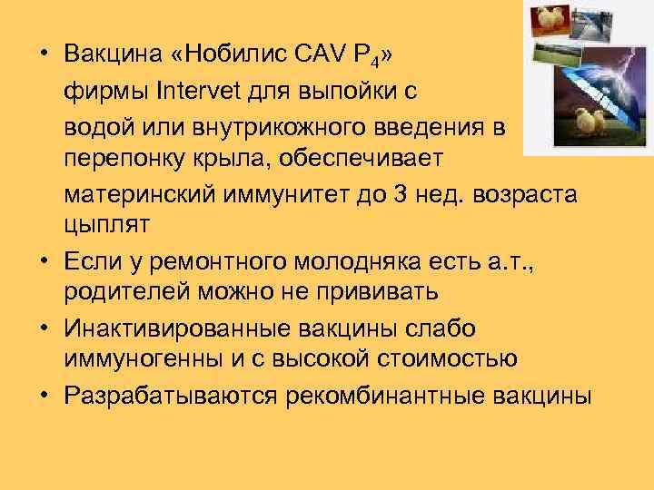  • Вакцина «Нобилис CAV P 4» фирмы Intervet для выпойки с водой или