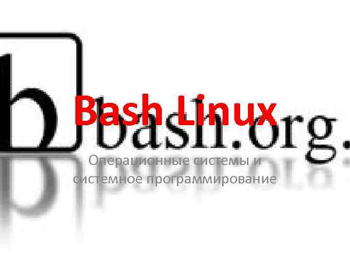 Bash Linux Операционные системы и системное программирование 