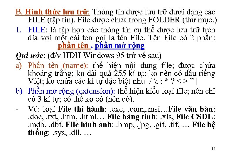 B. Hình thức lưu trữ: Thông tin được lưu trữ dưới dạng các FILE