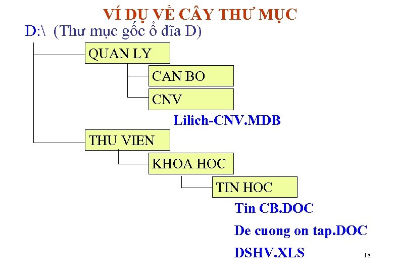 VÍ DỤ VỀ C Y THƯ MỤC D:  (Thư mục gốc ổ đĩa