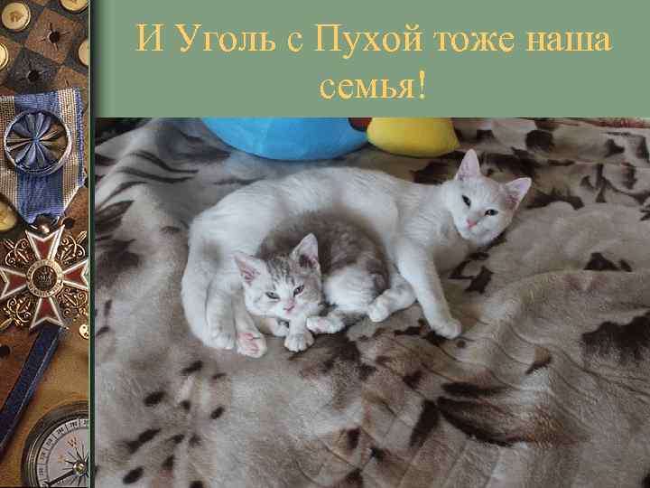 И Уголь с Пухой тоже наша семья! 