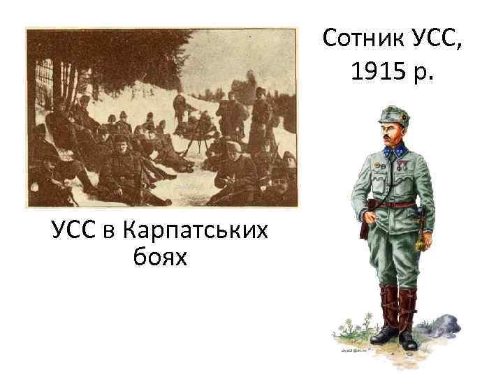 Сотник УСС, 1915 р. УСС в Карпатських боях 