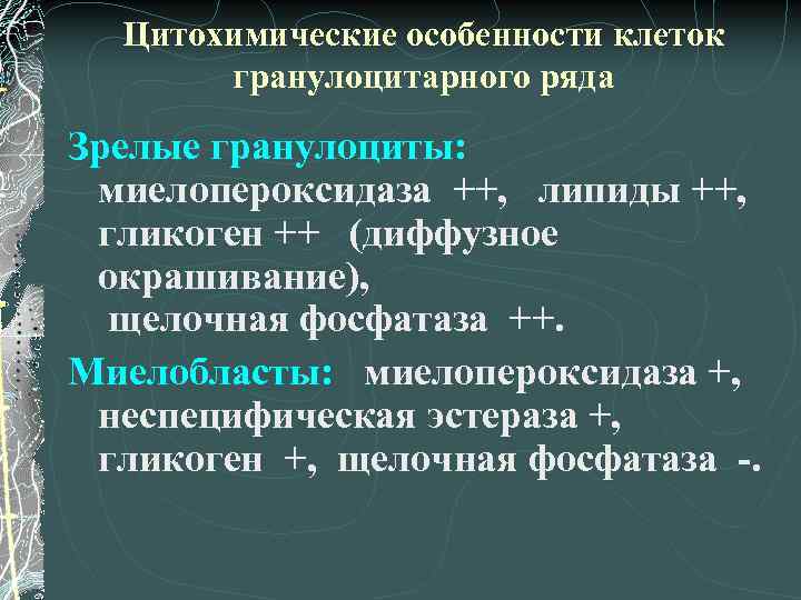 Цитохимические особенности клеток гранулоцитарного ряда Зрелые гранулоциты: миелопероксидаза ++, липиды ++, гликоген ++ (диффузное