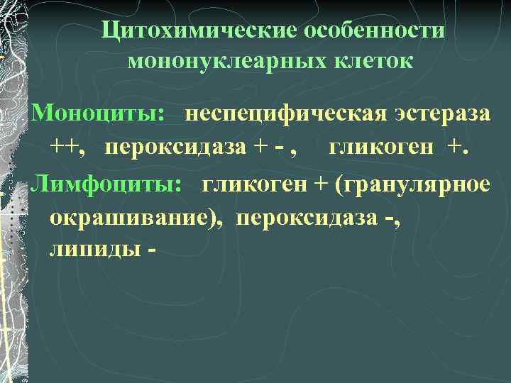 Цитохимические особенности мононуклеарных клеток Моноциты: неспецифическая эстераза ++, пероксидаза + - , гликоген +.