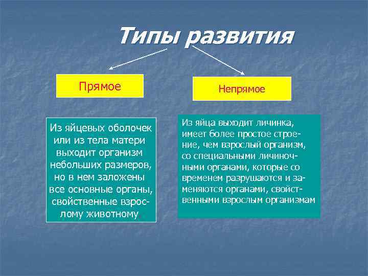 Типы развития Прямое Из яйцевых оболочек или из тела матери выходит организм небольших размеров,