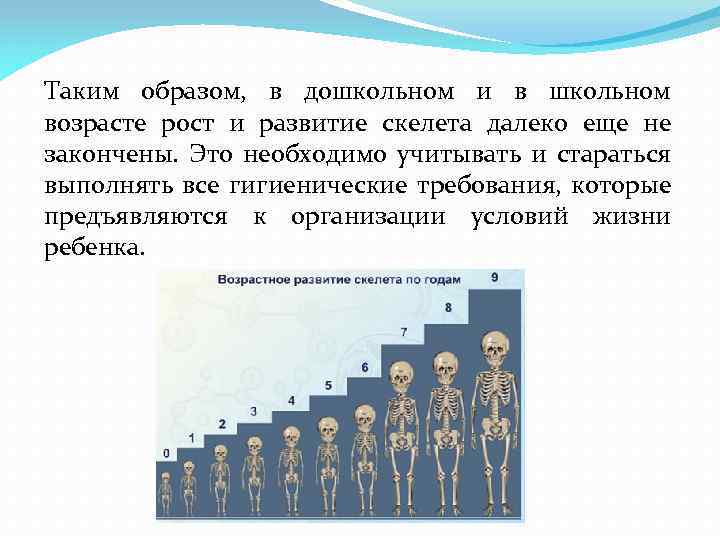 Таким образом, в дошкольном и в школьном возрасте рост и развитие скелета далеко еще