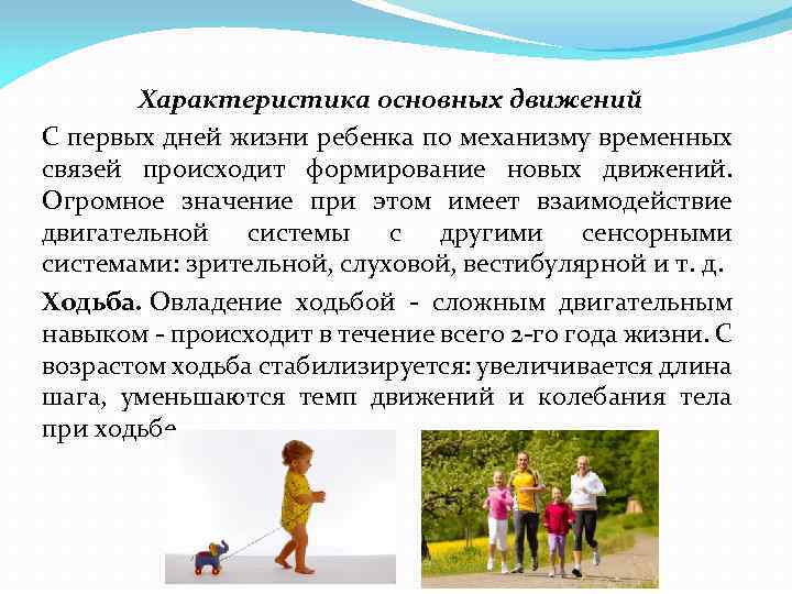 Характеристика основных движений С первых дней жизни ребенка по механизму временных связей происходит формирование