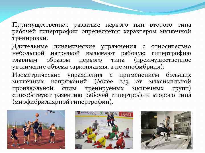 Преимущественное развитие первого или второго типа рабочей гипертрофии определяется характером мышечной тренировки. Длительные динамические
