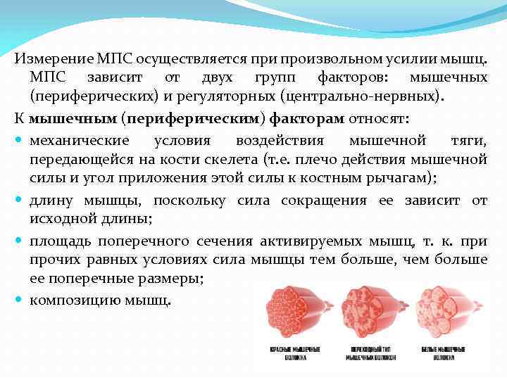Измерение МПС осуществляется при произвольном усилии мышц. МПС зависит от двух групп факторов: мышечных