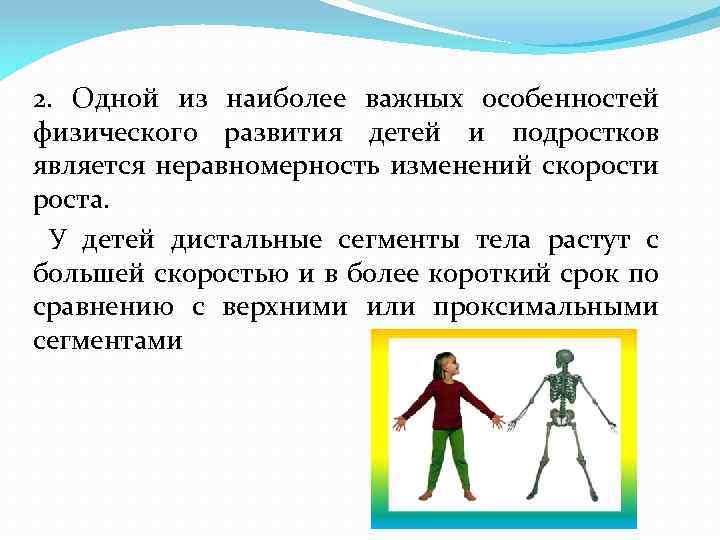 2. Одной из наиболее важных особенностей физического развития детей и подростков является неравномерность изменений