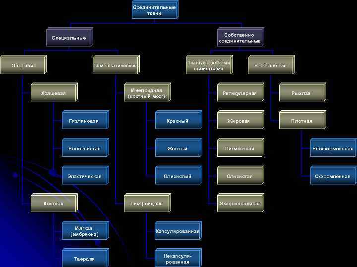 Соединительные ткани Собственно соединительные Специальные Опорная Ткань с особыми свойствами Гемопоэтическая Миелоидная (костный мозг)