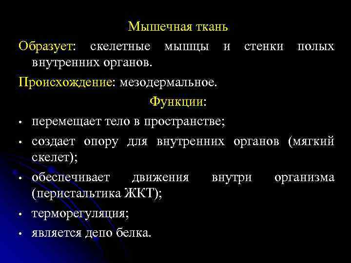 Мышечная ткань Образует: скелетные мышцы и стенки полых внутренних органов. Происхождение: мезодермальное. Функции: •