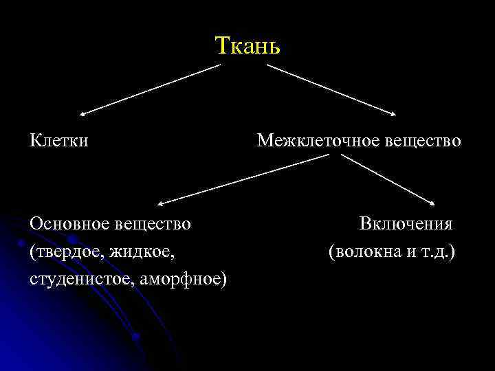 Совокупность клеток