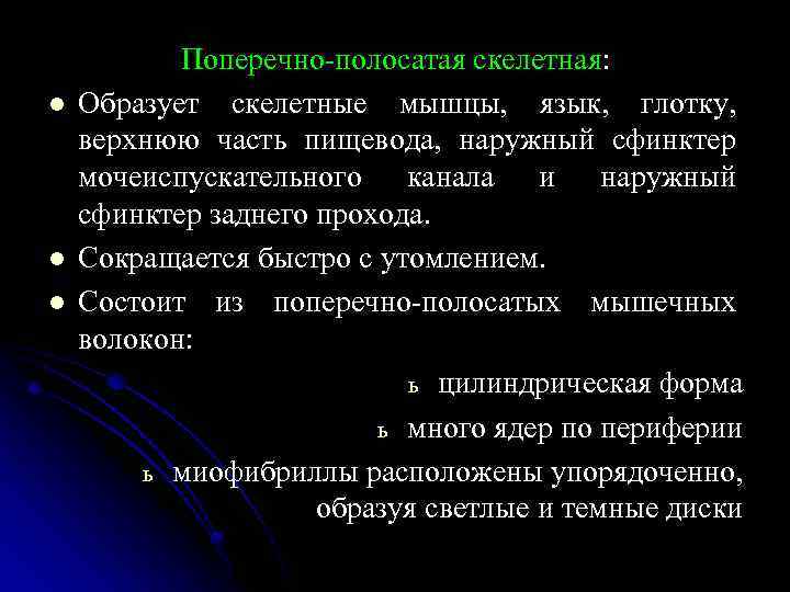 l l l Поперечно-полосатая скелетная: Образует скелетные мышцы, язык, глотку, верхнюю часть пищевода, наружный