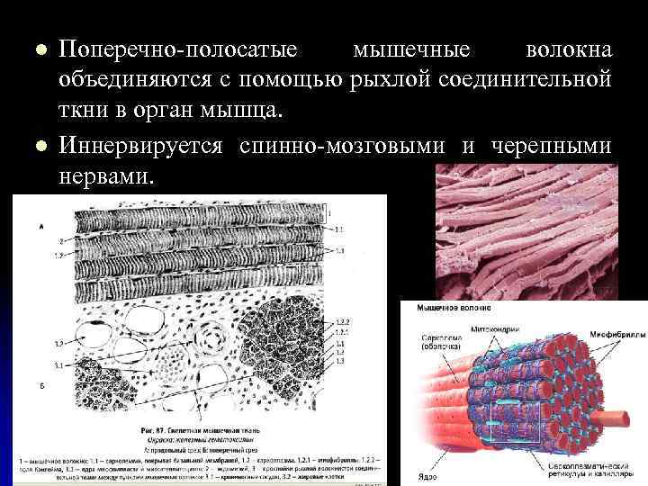 Совокупность клеток которые образуют в табличном процессоре темный прямоугольник это