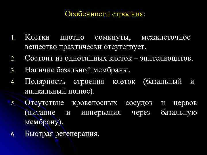 Клетки плотно сомкнуты. Особенности клеток. Раскройте особенности клеточного строения организма.