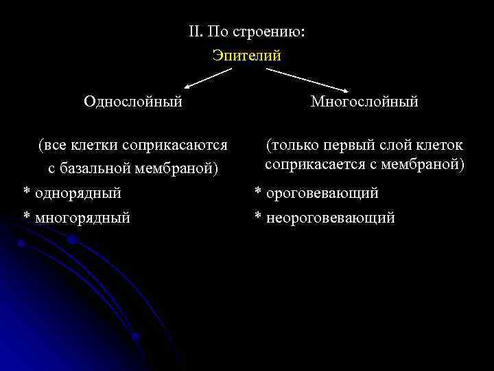 II. По строению: Эпителий Однослойный Многослойный (все клетки соприкасаются с базальной мембраной) (только первый