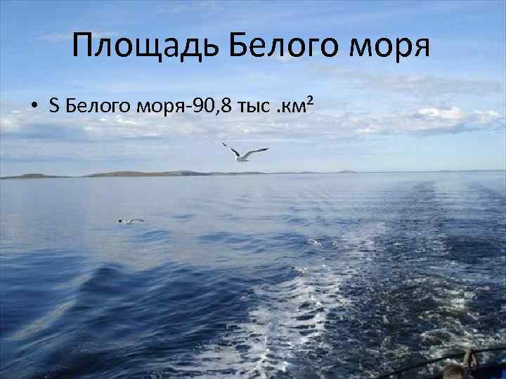 Площадь Белого моря • S Белого моря-90, 8 тыс. км² 