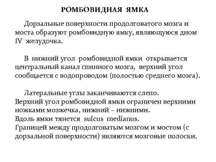 РОМБОВИДНАЯ ЯМКА Дорзальные поверхности продолговатого мозга и моста образуют ромбовидную ямку, являющуюся дном IV