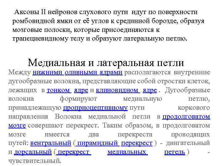  Аксоны II нейронов слухового пути идут по поверхности ромбовидной ямки от её углов