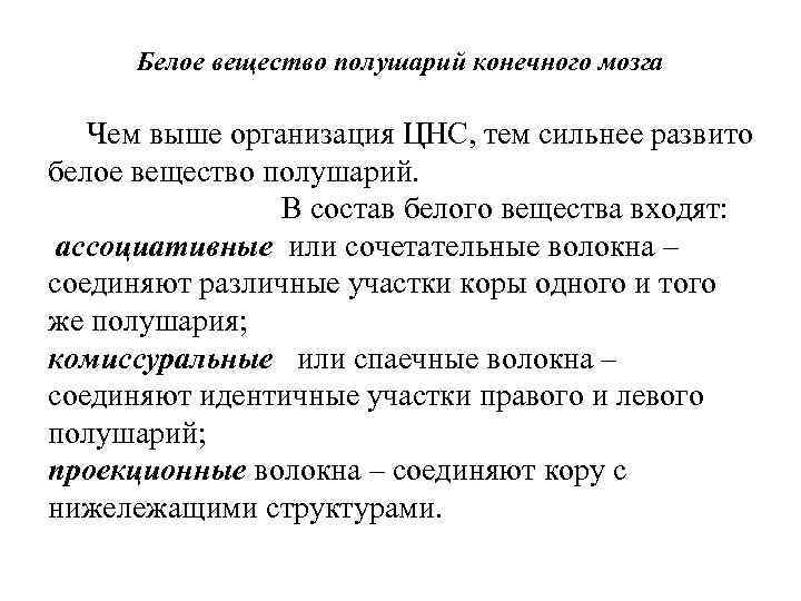 Белое вещество полушарий конечного мозга Чем выше организация ЦНС, тем сильнее развито белое вещество