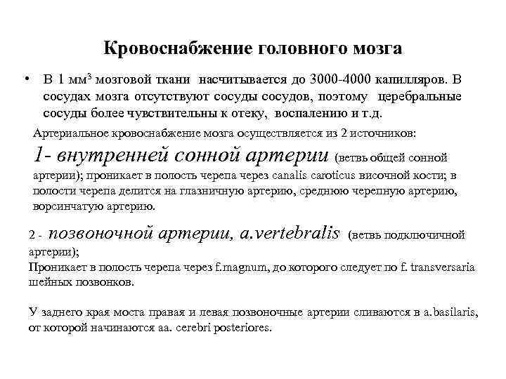 Кровоснабжение головного мозга • В 1 мм 3 мозговой ткани насчитывается до 3000 -4000