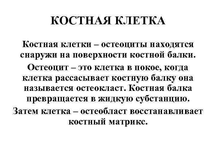 КОСТНАЯ КЛЕТКА Костная клетки – остеоциты находятся снаружи на поверхности костной балки. Остеоцит –