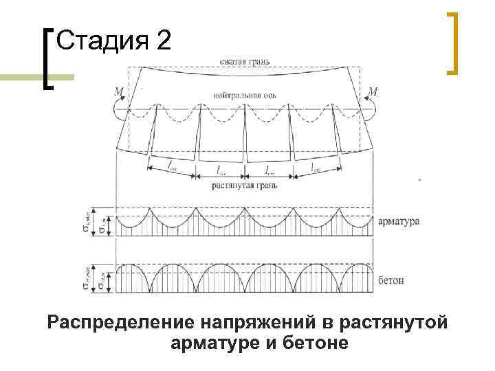 Стадия 2 Распределение напряжений в растянутой арматуре и бетоне 