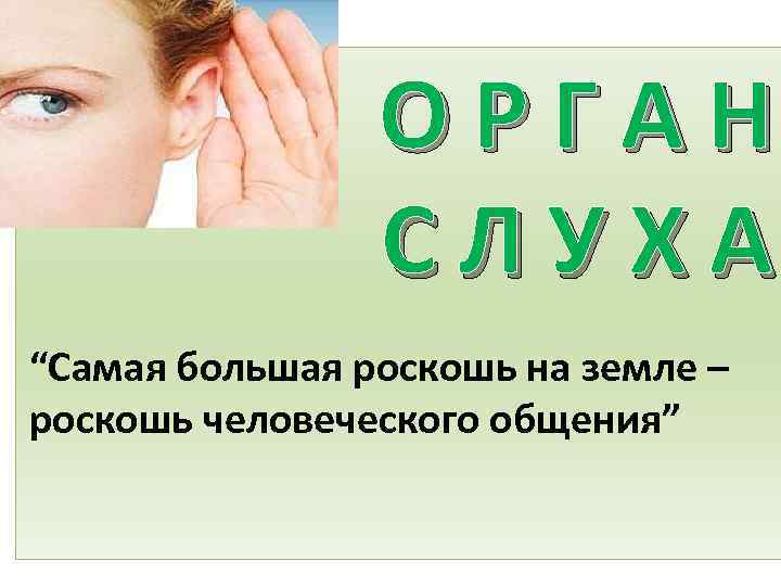 ОРГАН СЛУХА “Самая большая роскошь на земле – роскошь человеческого общения” 