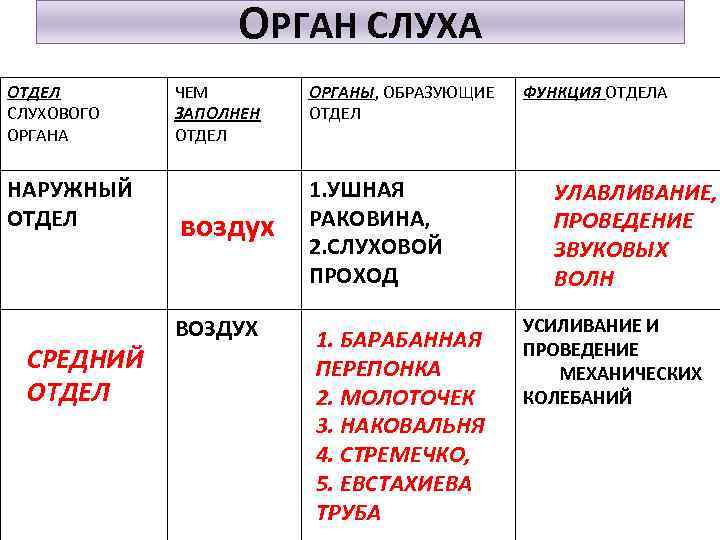 ОРГАН СЛУХА ОТДЕЛ СЛУХОВОГО ОРГАНА НАРУЖНЫЙ ОТДЕЛ СРЕДНИЙ ОТДЕЛ ЧЕМ ЗАПОЛНЕН ОТДЕЛ воздух ВОЗДУХ